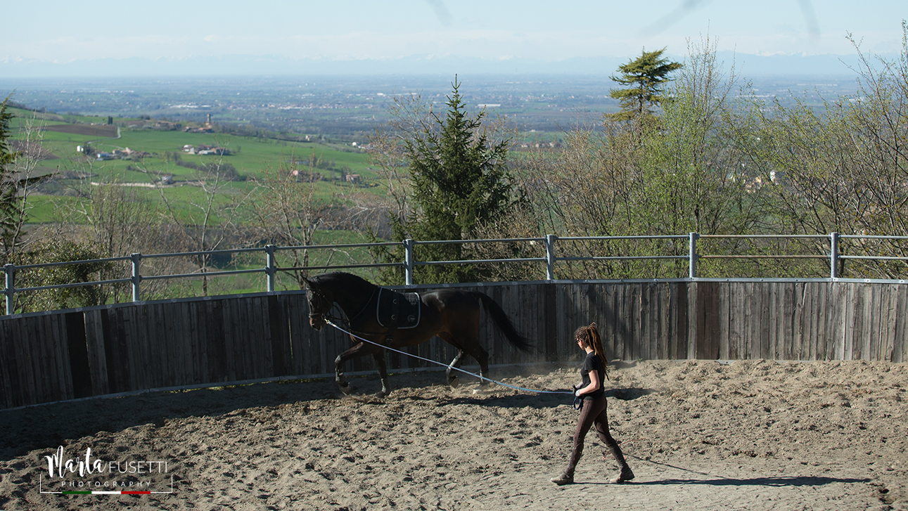 Le linee guida per lo sport del Dpcm del 26 Aprile e gli Sport equestri