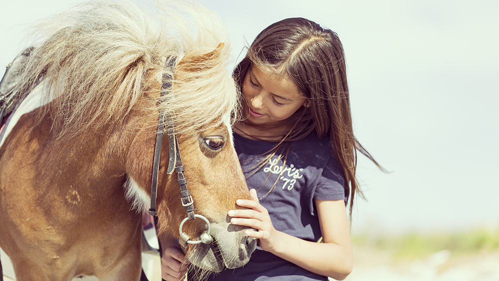 L'equitazione sospesa, iniziativa Horse Country Riding Center & Resort ©Horse Country Riding Center & Resort
