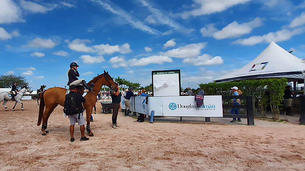 Luhmühlen (Germany)