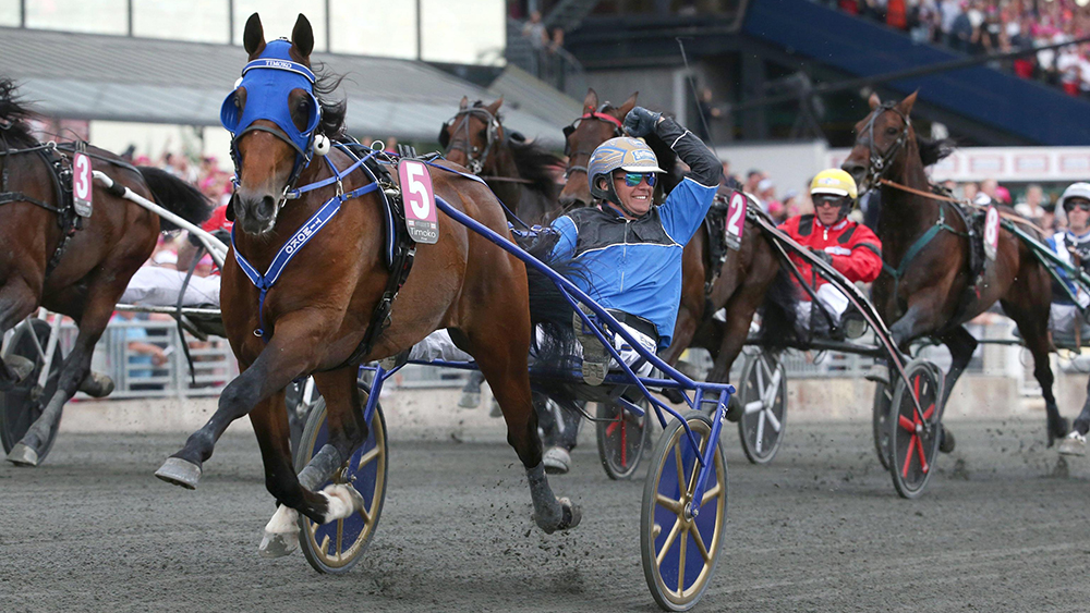 TIMOKO