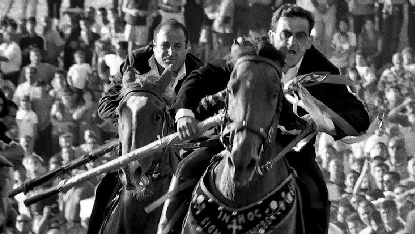 Libri di cavalli: l’Ardia di San Costantino, quando metti l’anima in sella