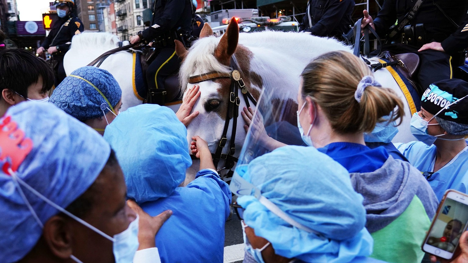 New York: dove anche i cavalli dicono grazie a medici e infermieri