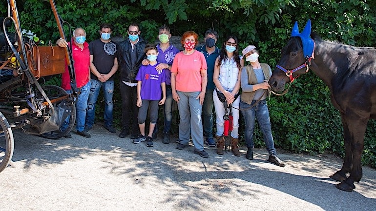 Horse Angels: la crisi colpisce anche i fiaccherai di Firenze e i loro cavalli