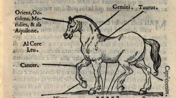 Libri di cavalli: Filippo Scacco, dai marescalchi alla veterinaria