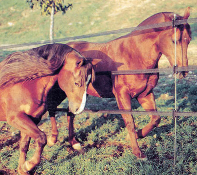 paletti marrone Recinz elettrificate00