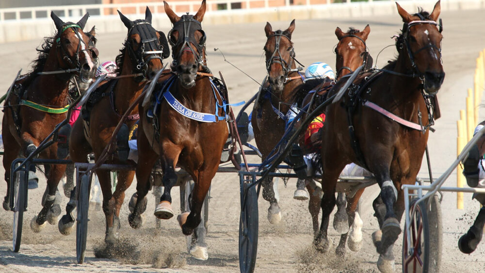 Ippodromo Arcoveggio: resoconte delle corse di Trotto del 21 giugno 2020 ©Foto di archivio FB Ippodromo Arcoveggio