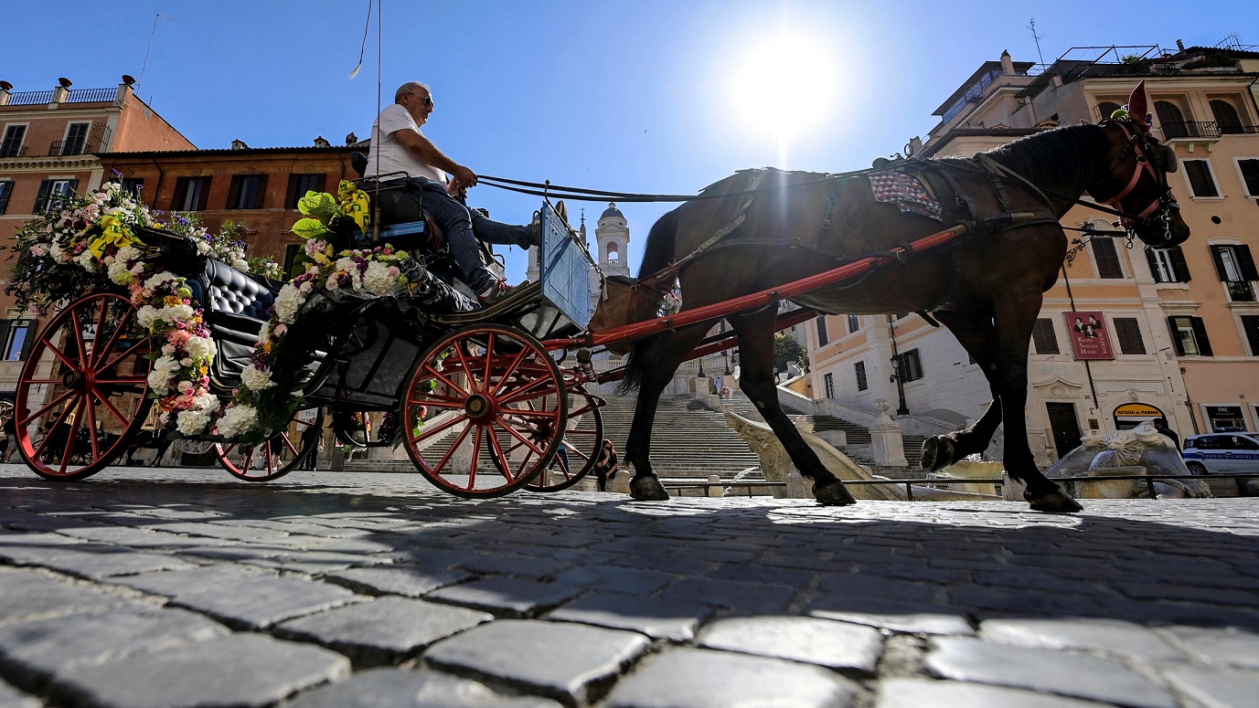 Botticelle: la sindaca Raggi ha detto stop ai cavalli oltre i 30 °C, ludici e sportivi al fresco
