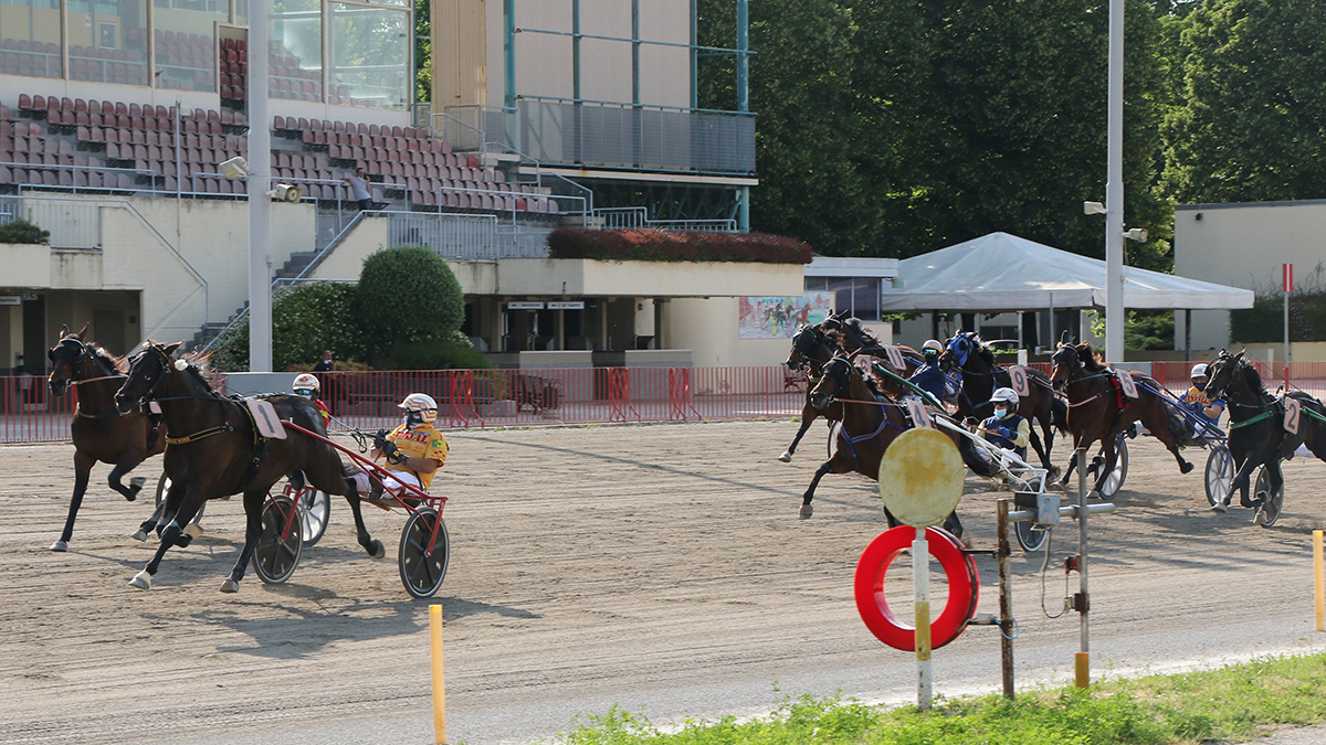 L'arrivo del Gran Premio della Repubblica edizione 2020 - Ippodromo Arcoveggio di Bologna ©Sandro Tinarelli