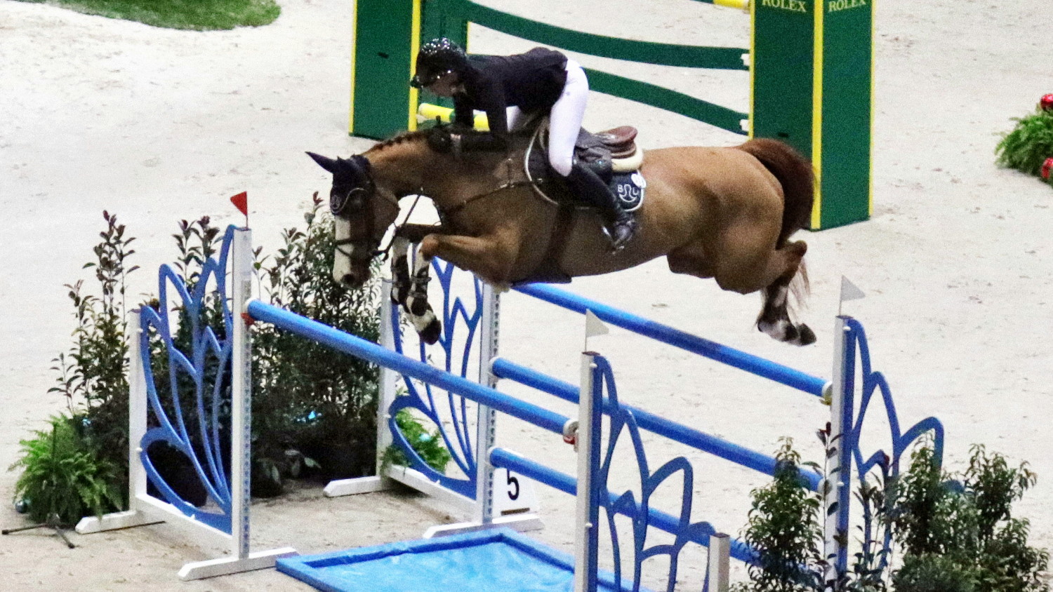 Doping su un cavallo per l’urina di un uomo