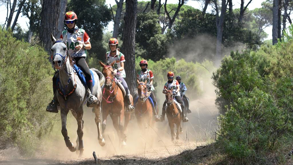 LONGINES FEI ENDURANCE WORLD CHAMPIONSHIP
