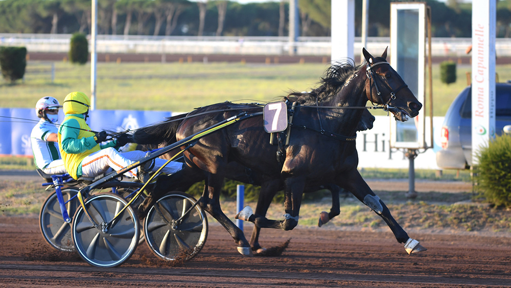 Gran Premio Turilli 2020 - Vivid Wise AS vince su Zacon Giò ©Ippodromo Capannelle