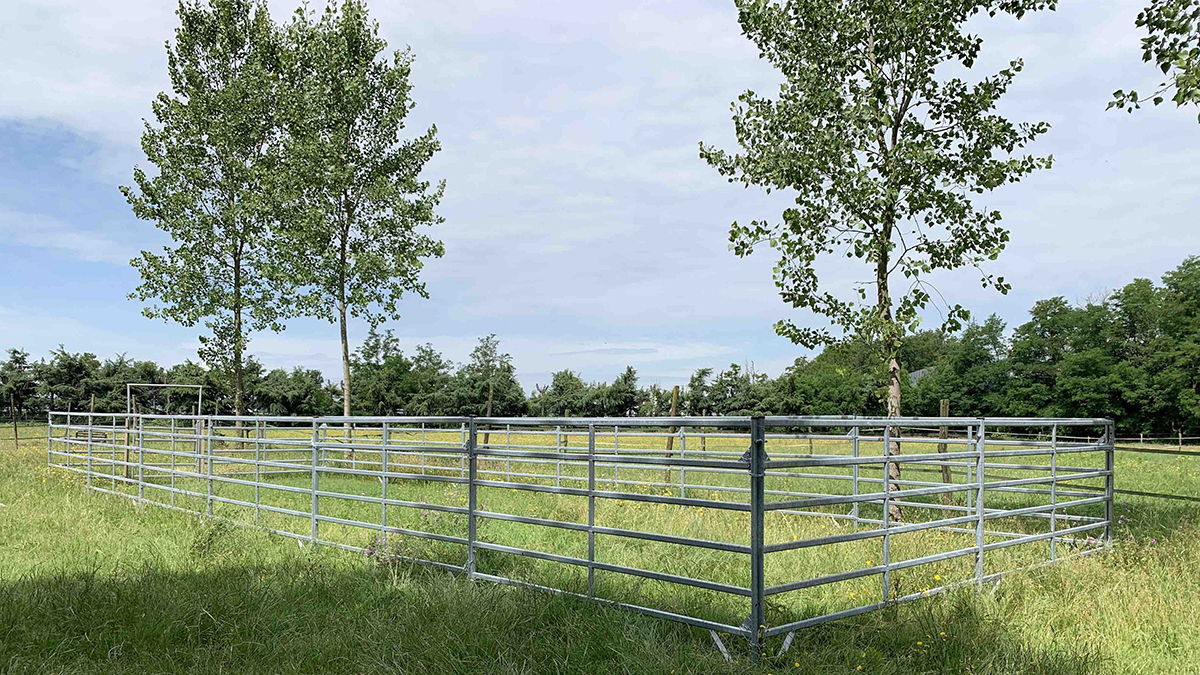 Recinzioni Badi Farm: sicurezza e comfort per il cavallo ©Badi Farm