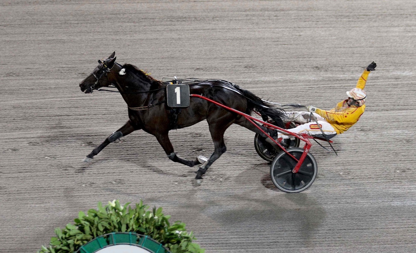 Domani All’Arcoveggio il grande trotto  con il 73° Gran Premio della Repubblica