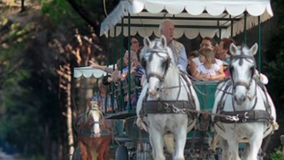 Pisa: una giornata a San Rossore, tra cavalli e crociere sull’Arno