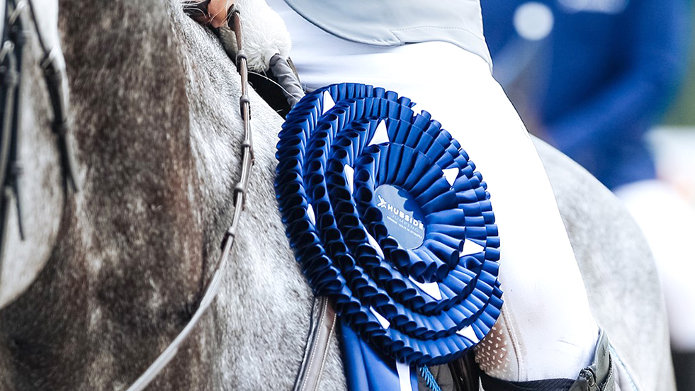 Salto ostacoli: gli appuntamenti del fine settimana del 12 luglio ©Hubside Jumping