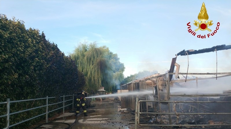 Undici cavalli morti nell’incendio di un maneggio in provincia di Pavia