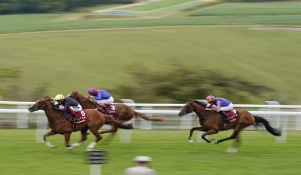 Stradivarius e Frankie, poker nella Goodwood Cup. Oggi la Sussex Cup