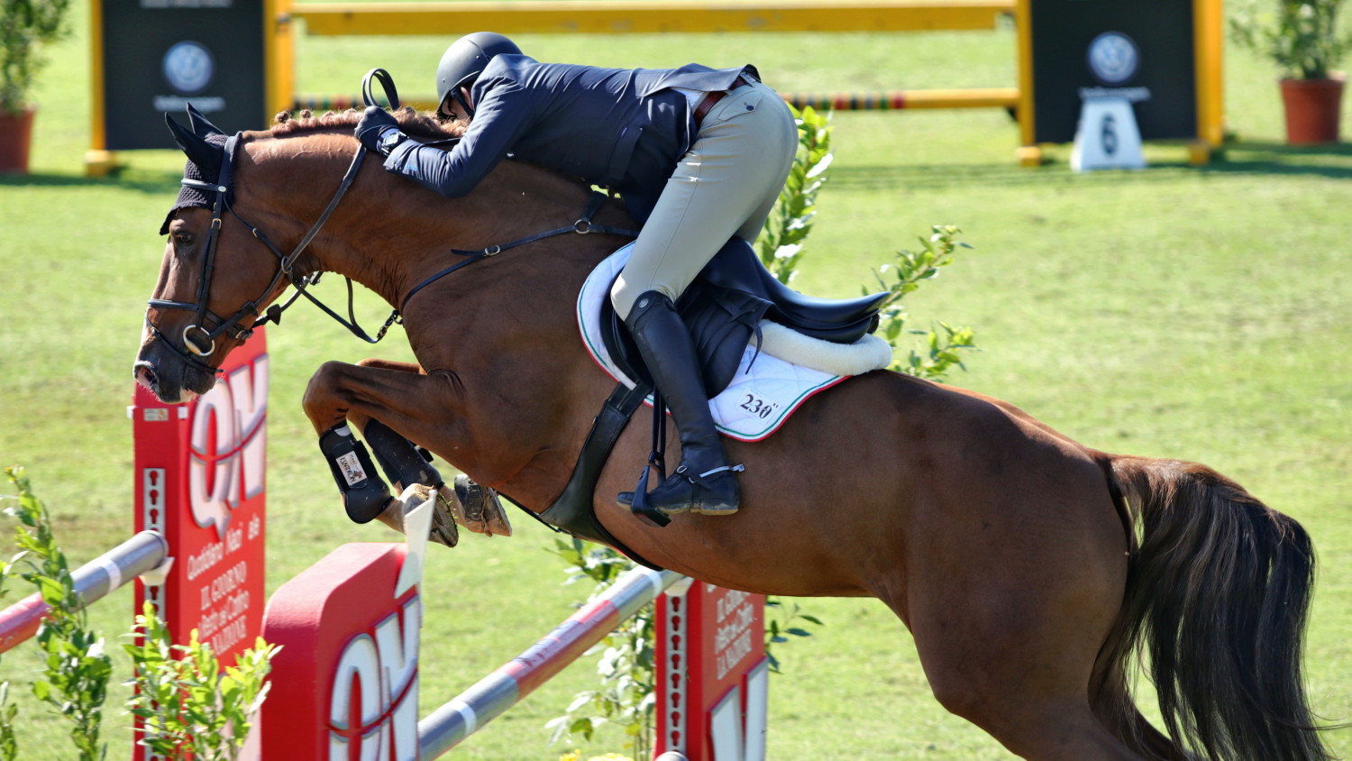 Levis: addio giovane campione