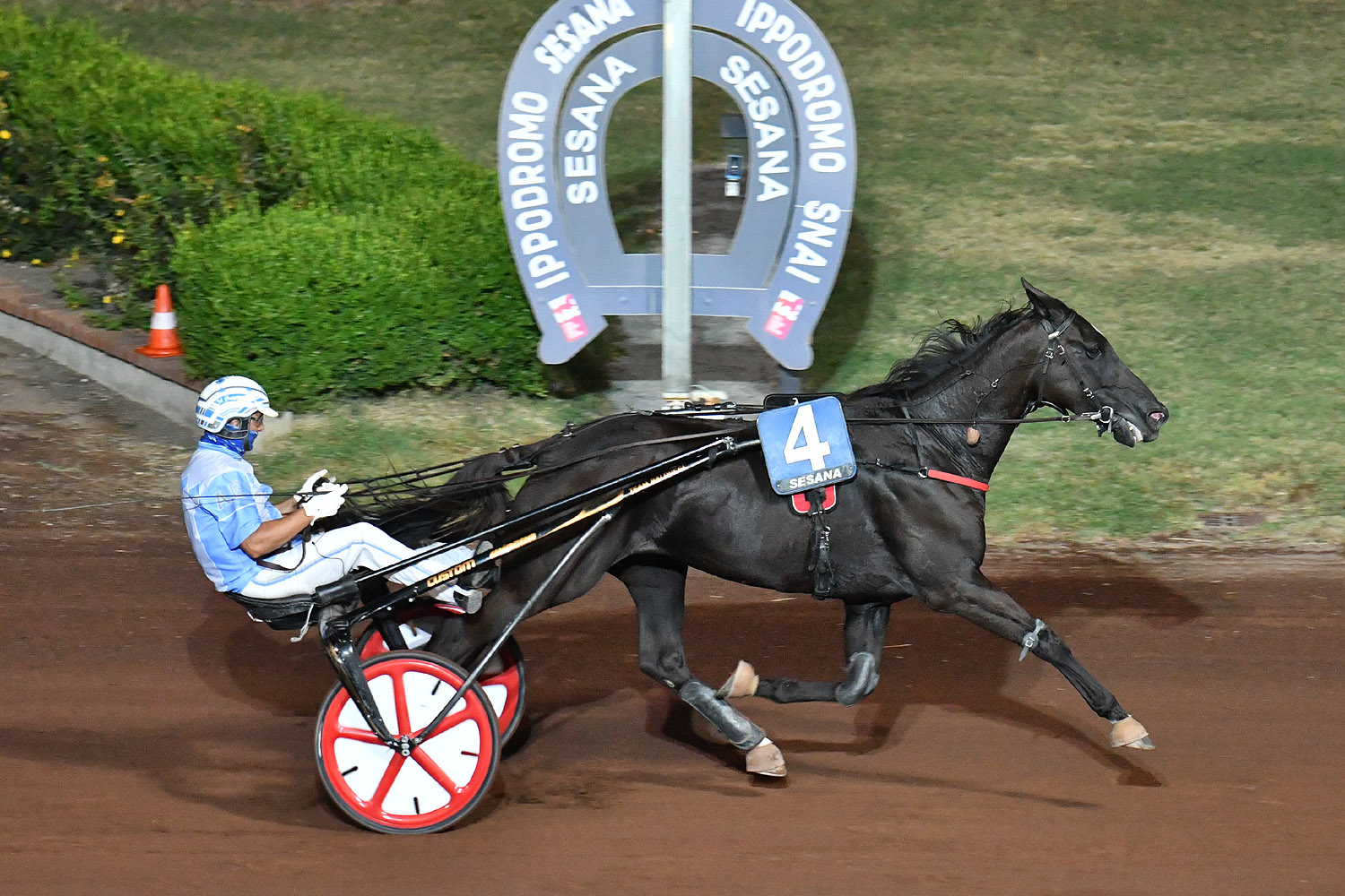 Sabato sera al Sesana con il Premio Regionale della Toscana pass per il Gp Città di Montecatini