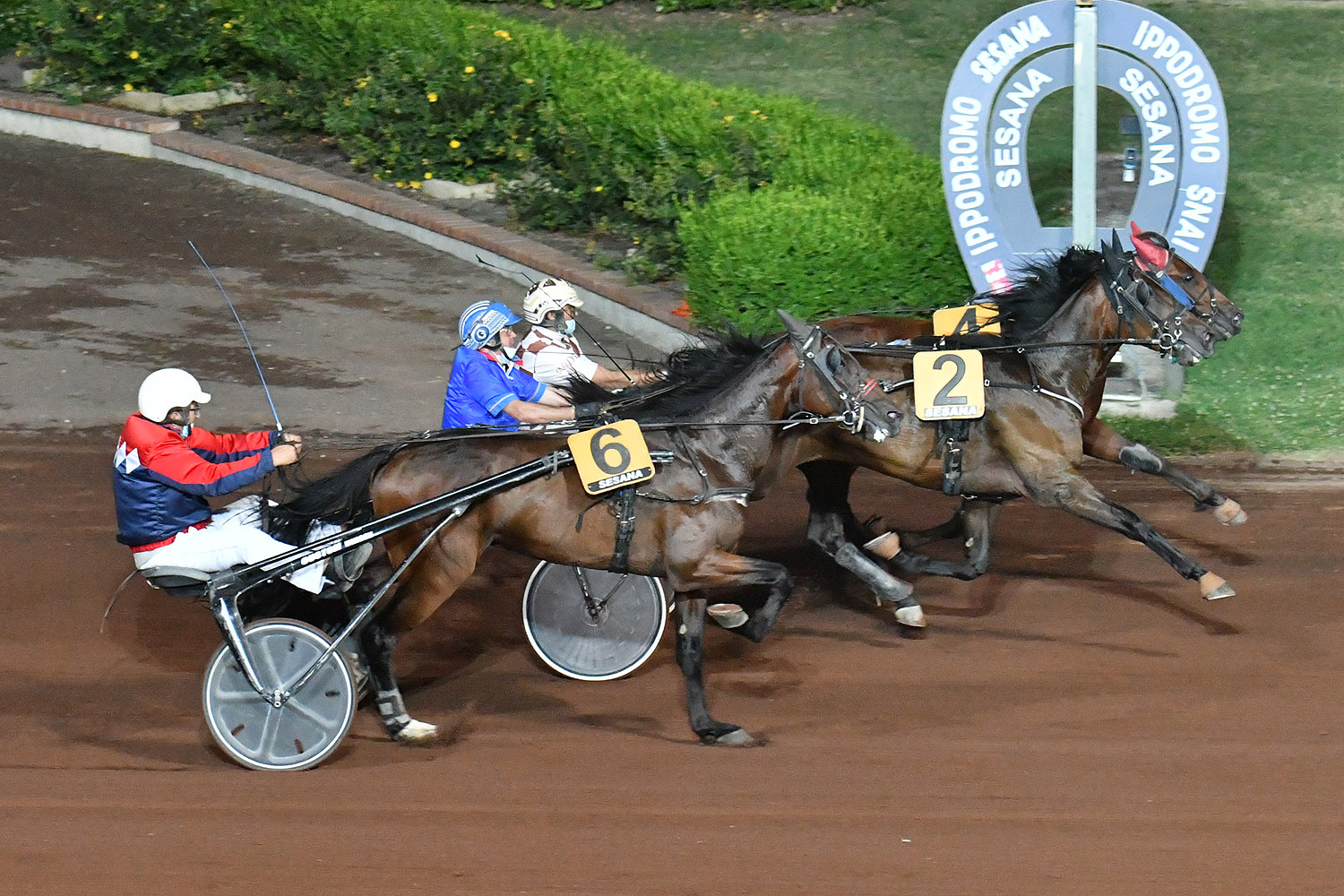 I puledri di due anni protagonisti a Montecatini