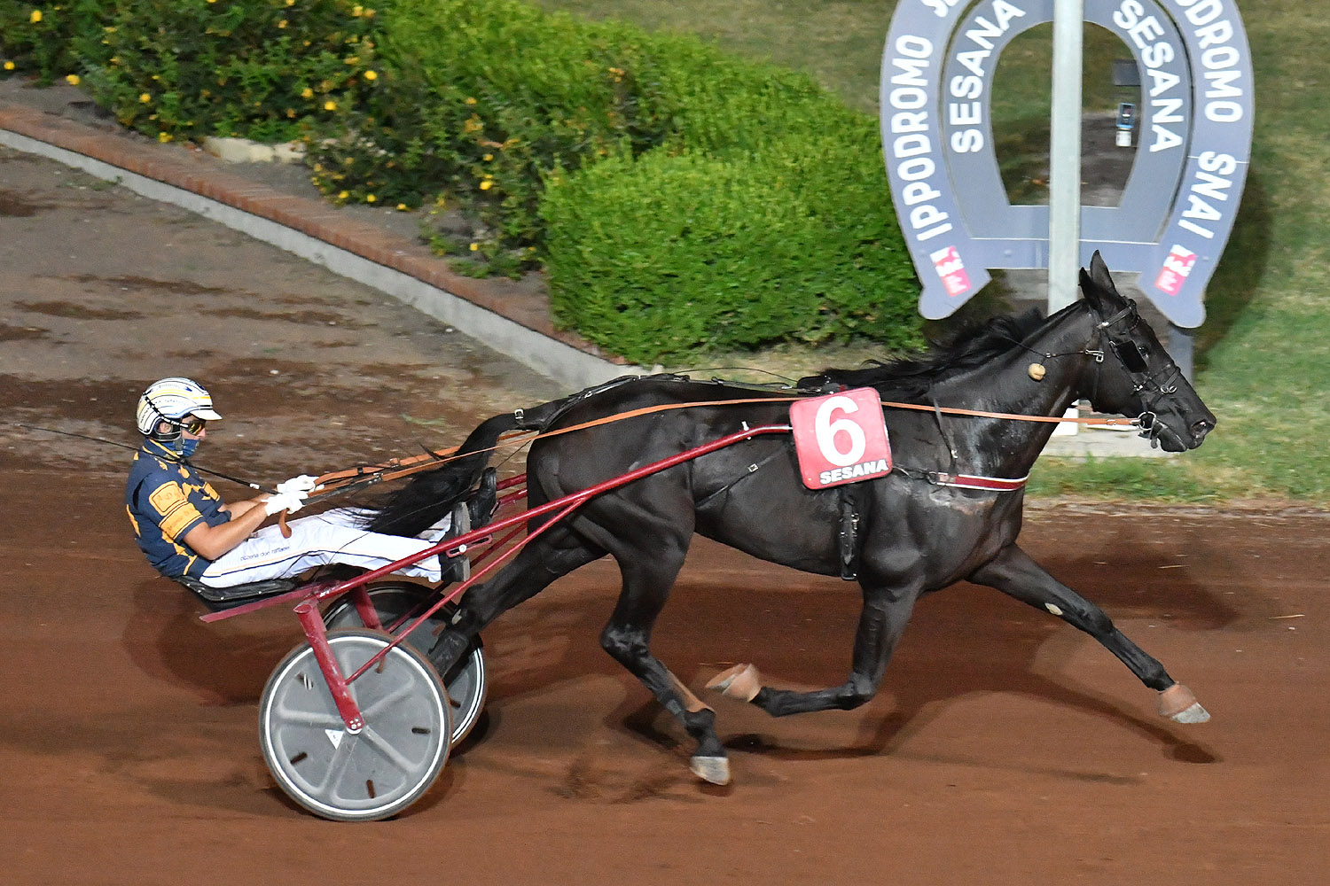 Al Sesana un interessante handicap per cavalli europei  di tre anni