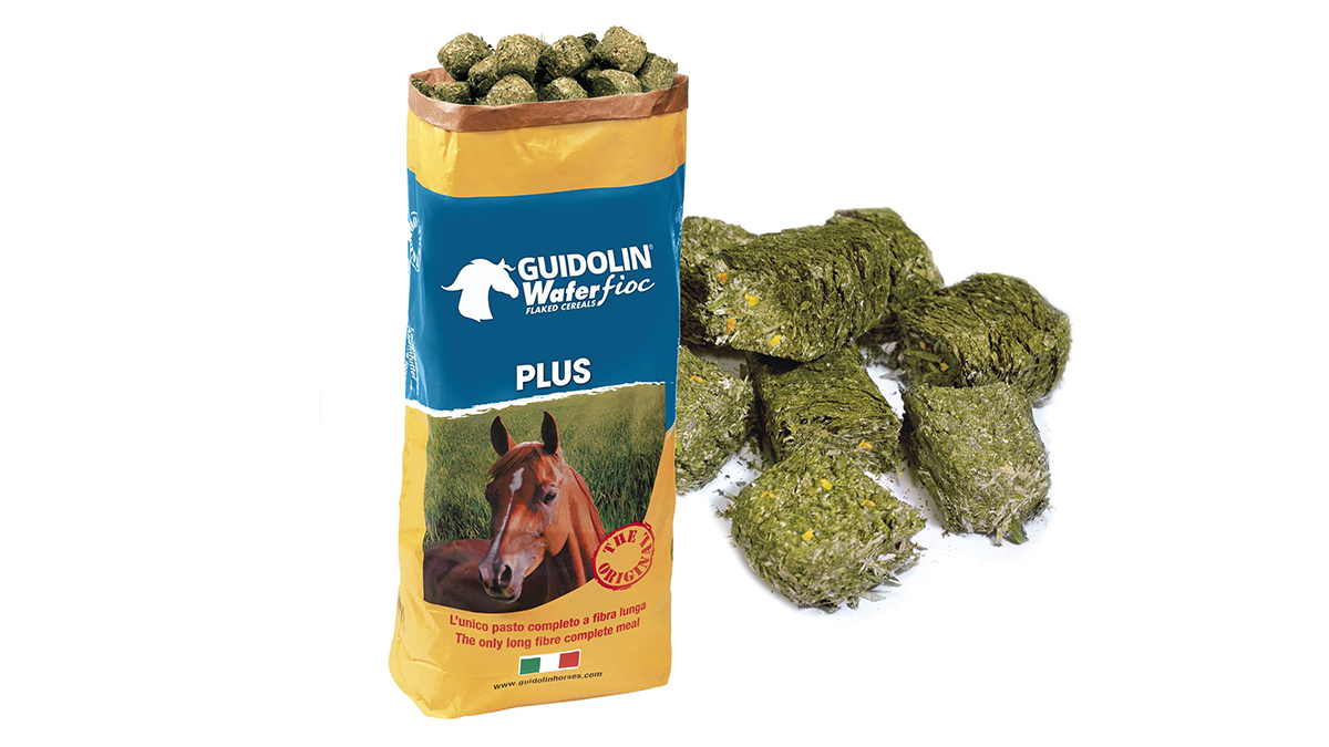 Guidolin: wafer fioc ©Guidolin Gianni