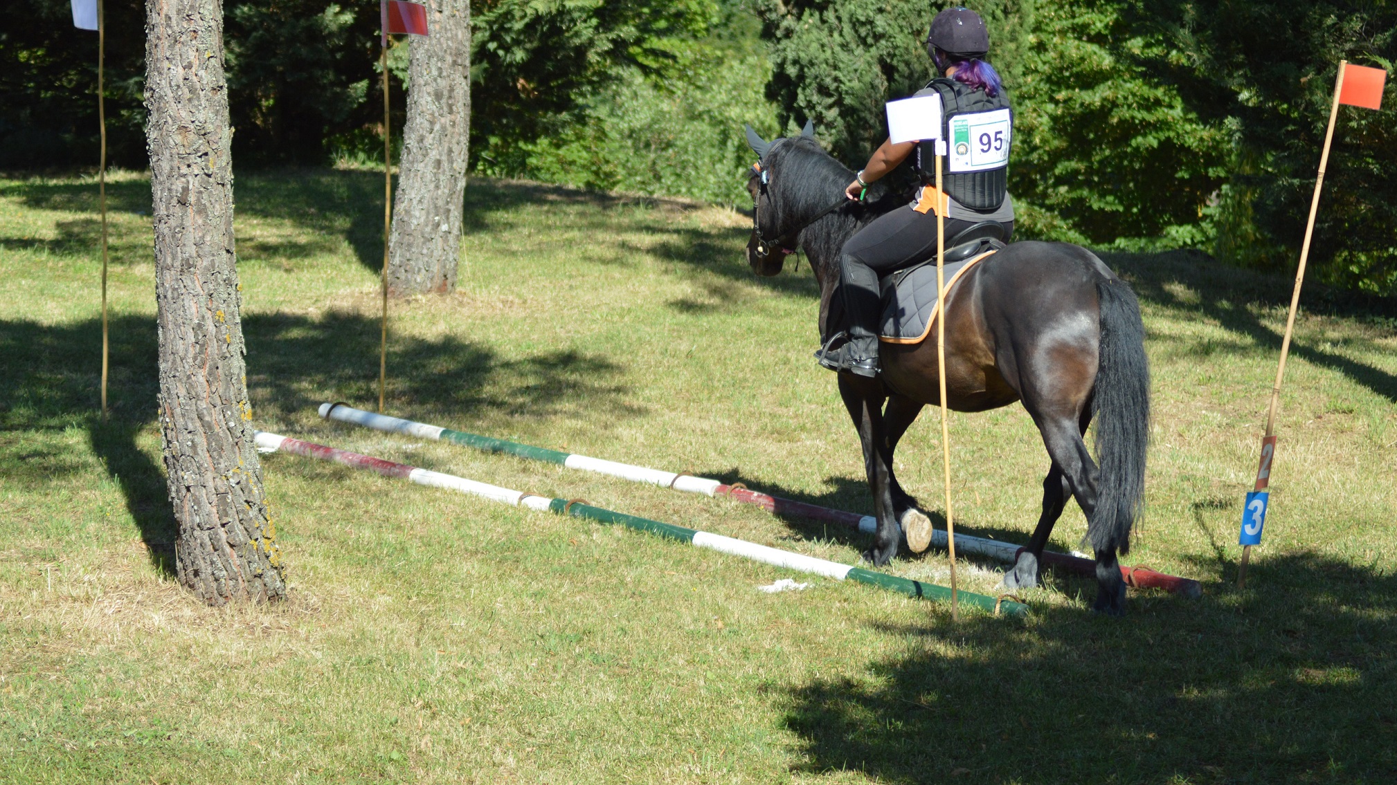 Trec giovanissimi 2020: sarà un bel campionato nazionale