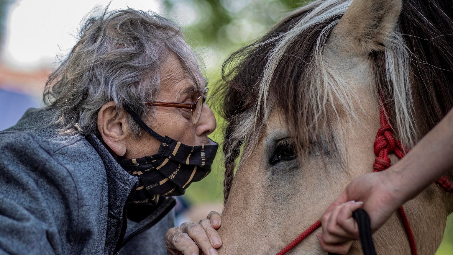 Vecchi amici: anche i cavalli, sì