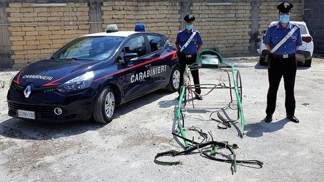 Corse clandestine: un cavallo  è morto a Palagonia