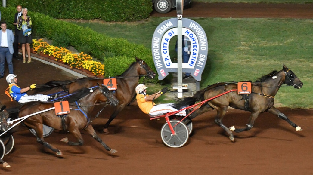 Il trotto tocca il vertice nel Gran Premio Città di Montecatini