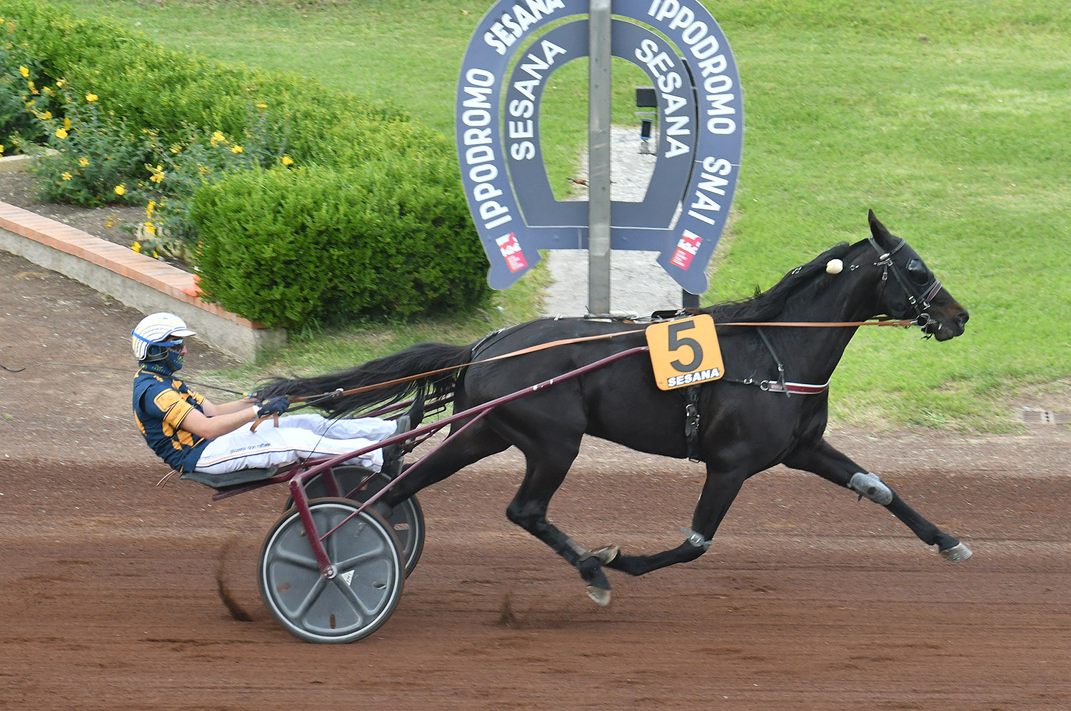 All’ippodromo Snai Sesana al via con i “Classici”