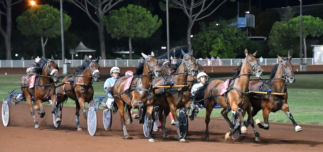 Spettacolo al Sesana con le Pariglie e il Trotto Montato