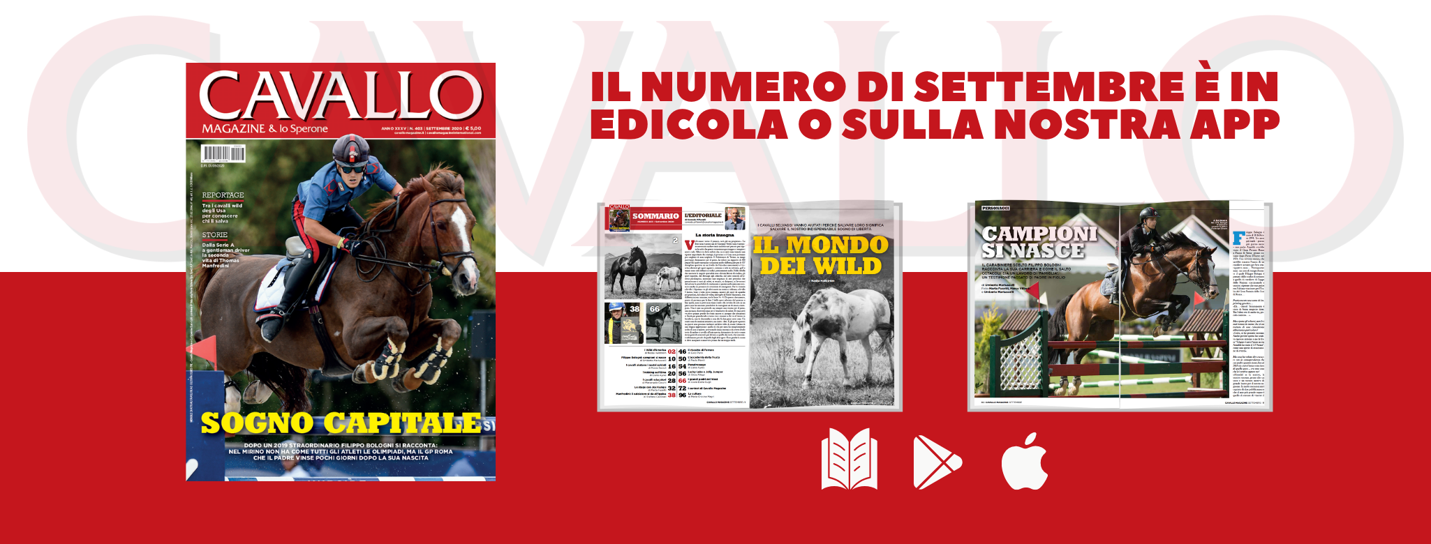 Lancio CoverFB