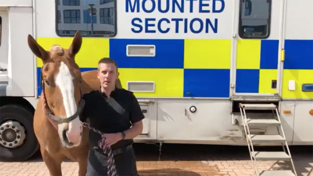 Hampshire Constabulary