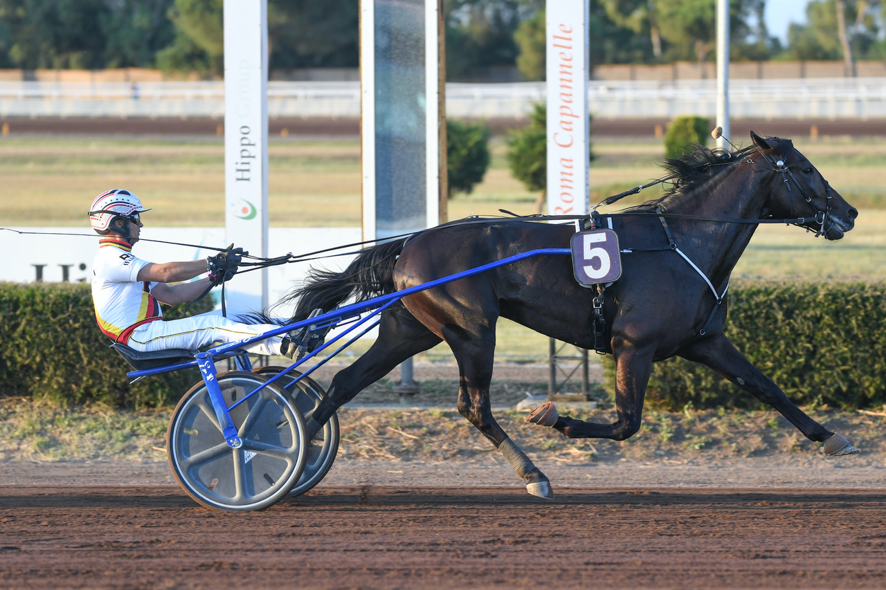Le batterie del  Gran Premio Città di Montecatini