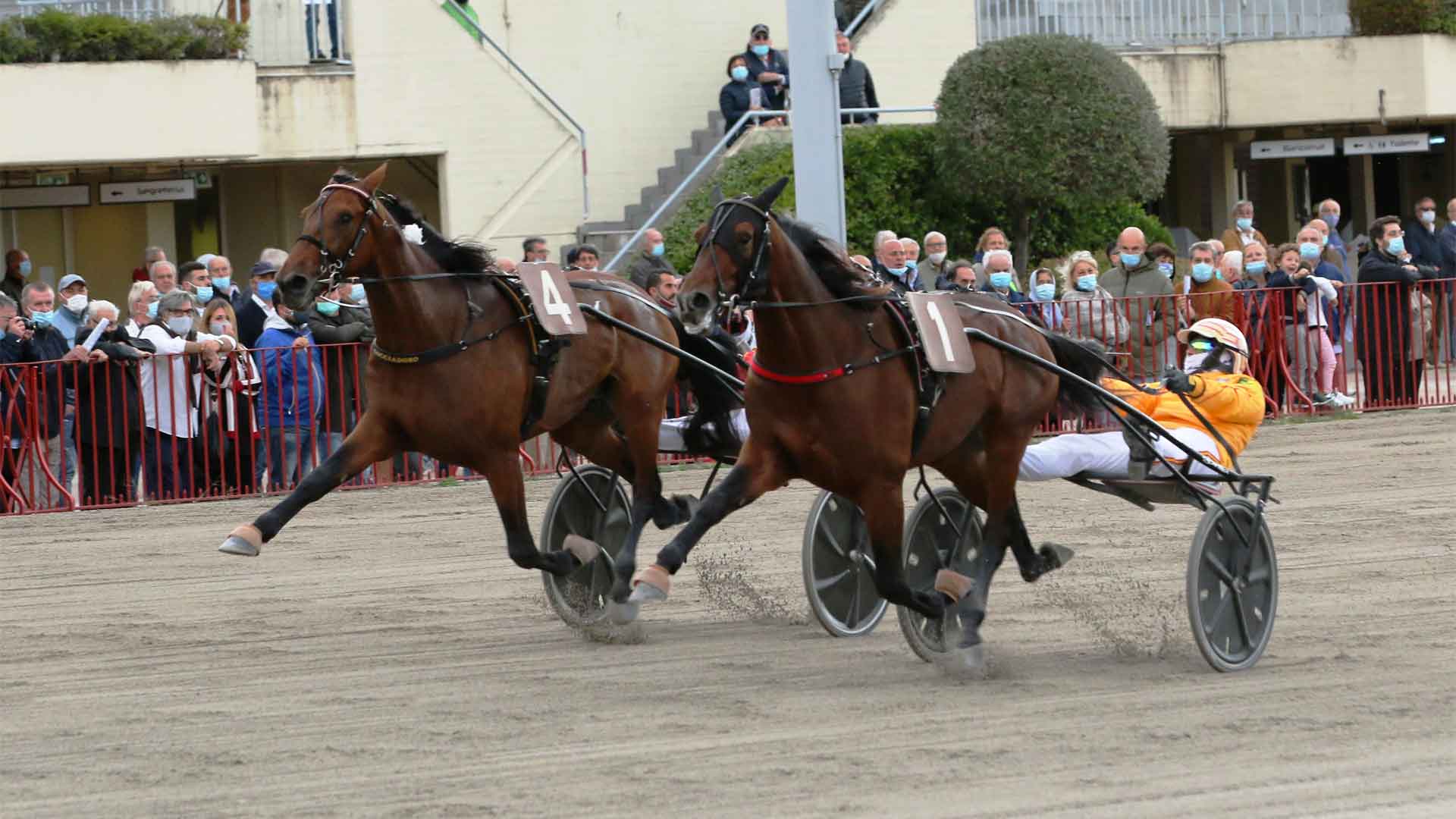 Il GP Continentale 2020 all’armata Gocciadoro