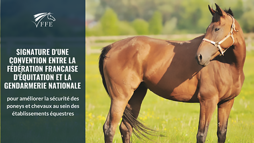 Un patto per la sicurezza tra Federazione e Gerdarmerie