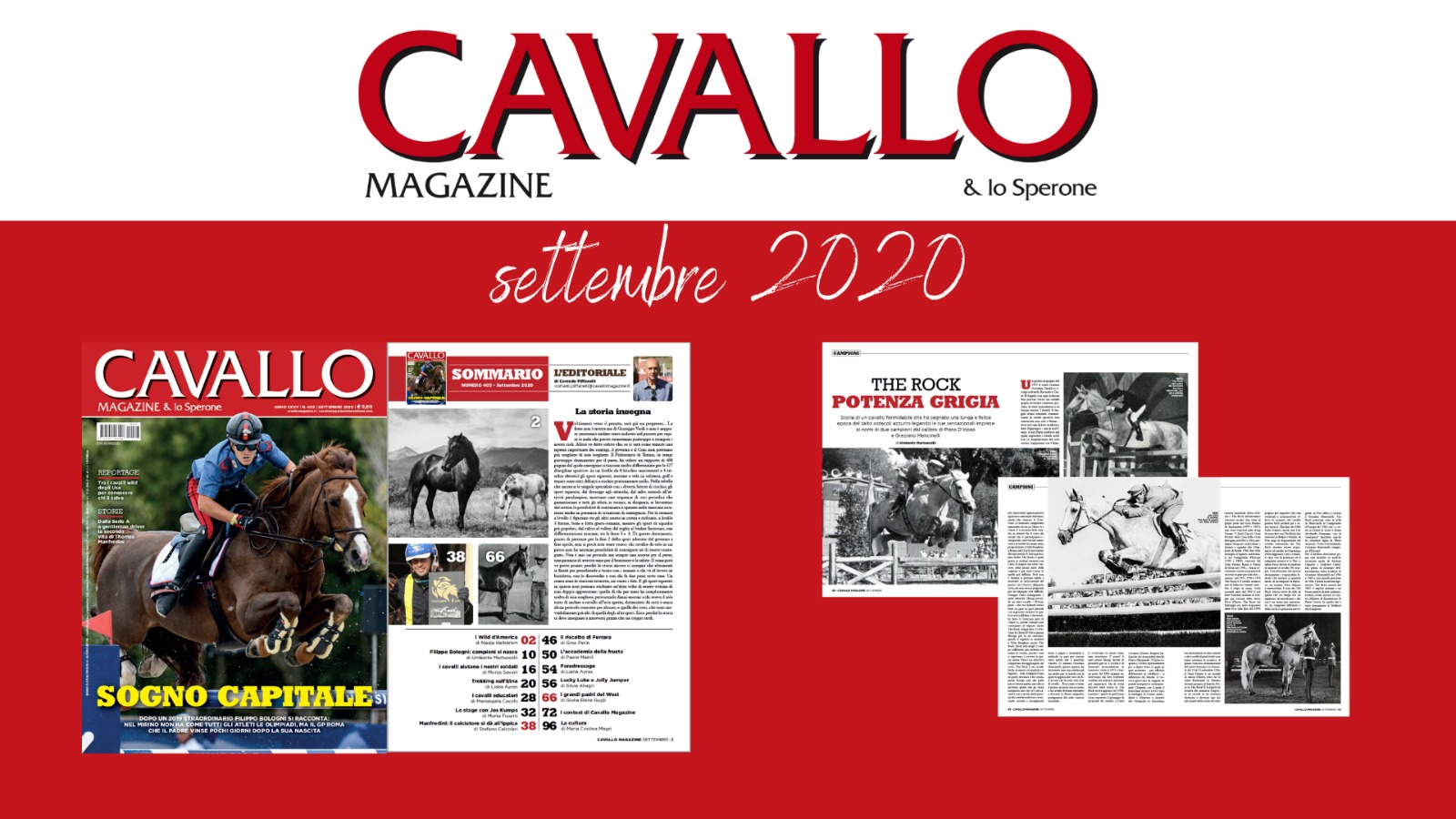 The Rock: un cavallo, un mito