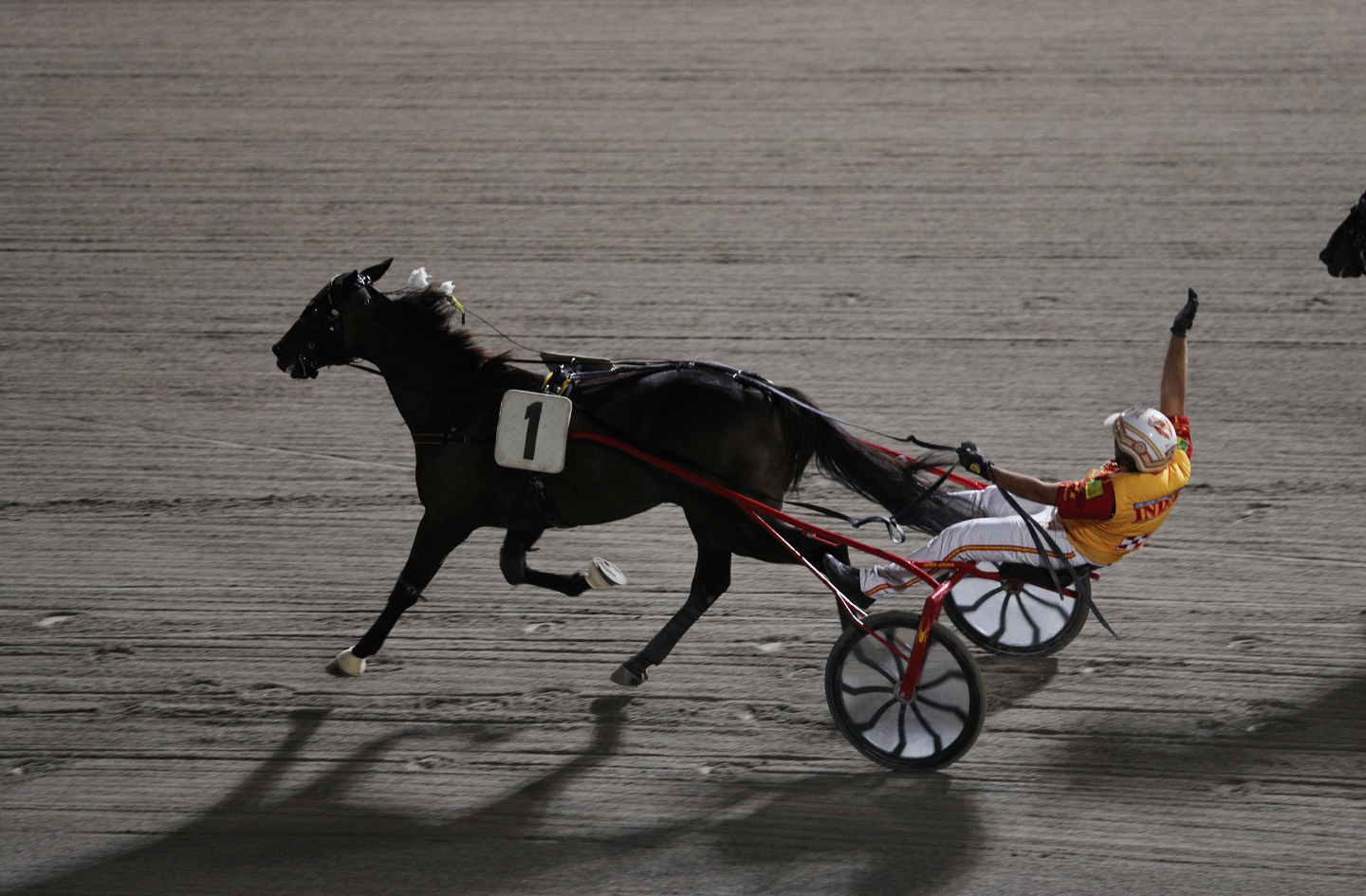 Cesena, Campionato Europeo di trotto 2020