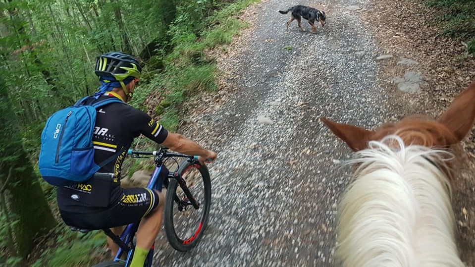 Cavalli e mountain bike, una convivenza possibile. Anzi: festeggiabile!