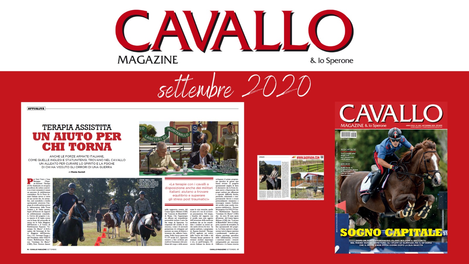 Un aiuto per chi torna: dai cavalli, ovviamente
