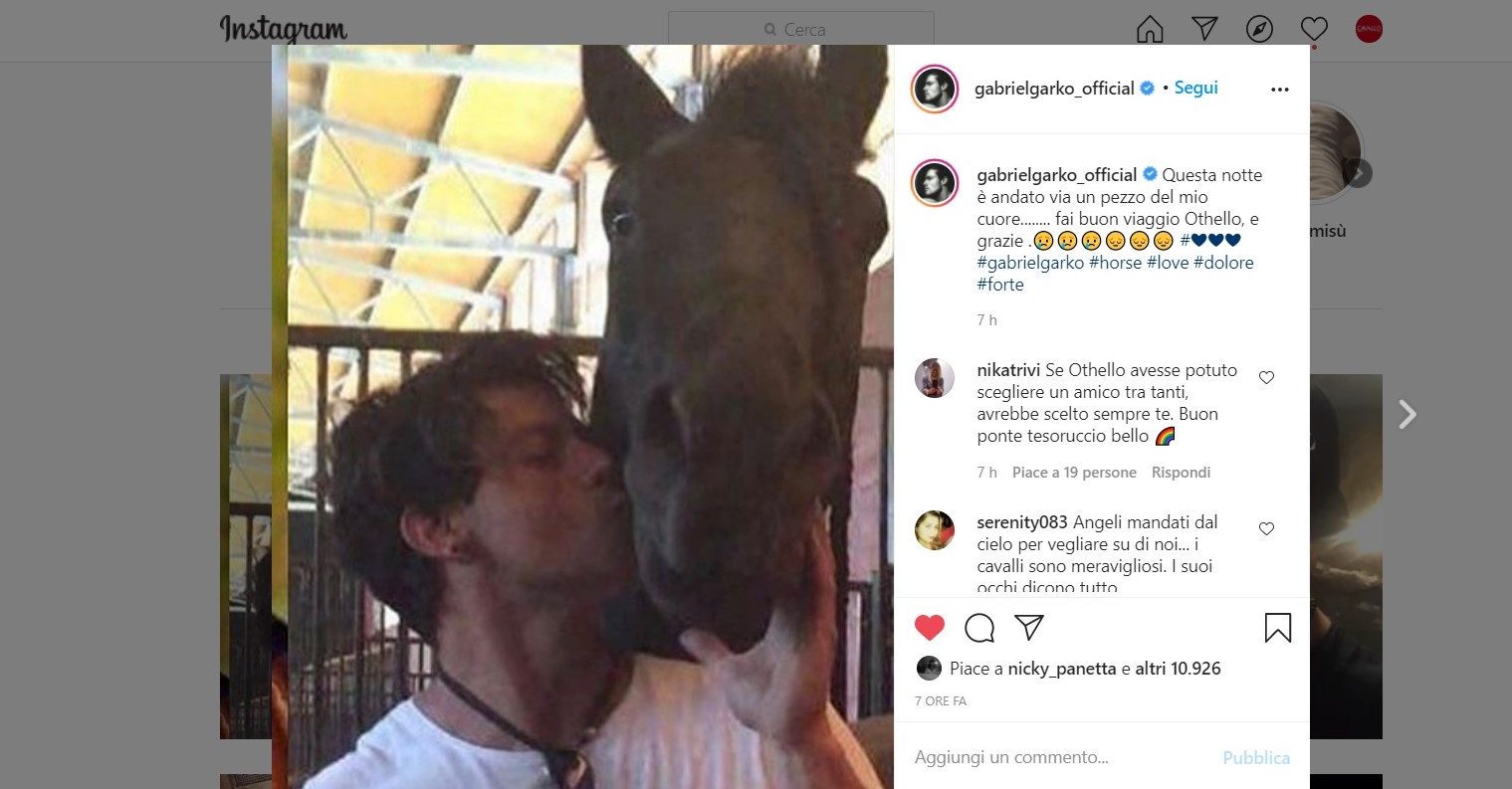 Lutto in scuderia per Gabriel Garko: è morto il suo Frisone Othello