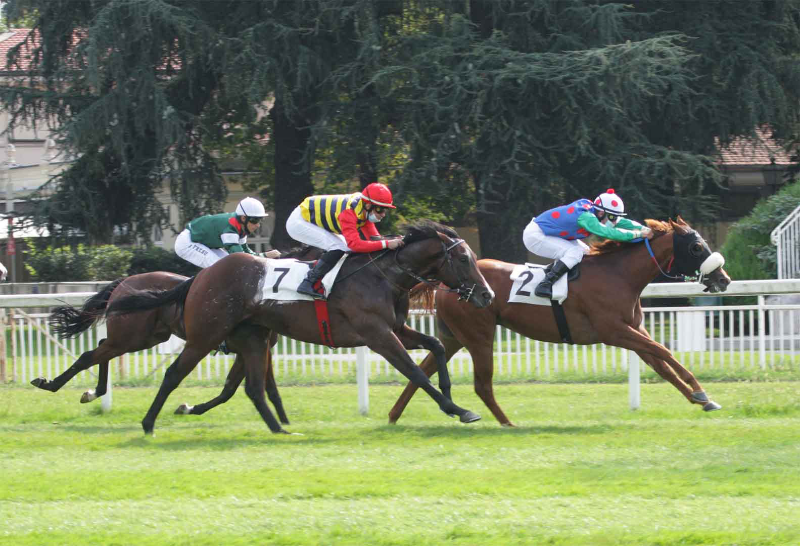 Un buon Handicap per la Tris Quartè Quintè di  mercoledì a San Siro