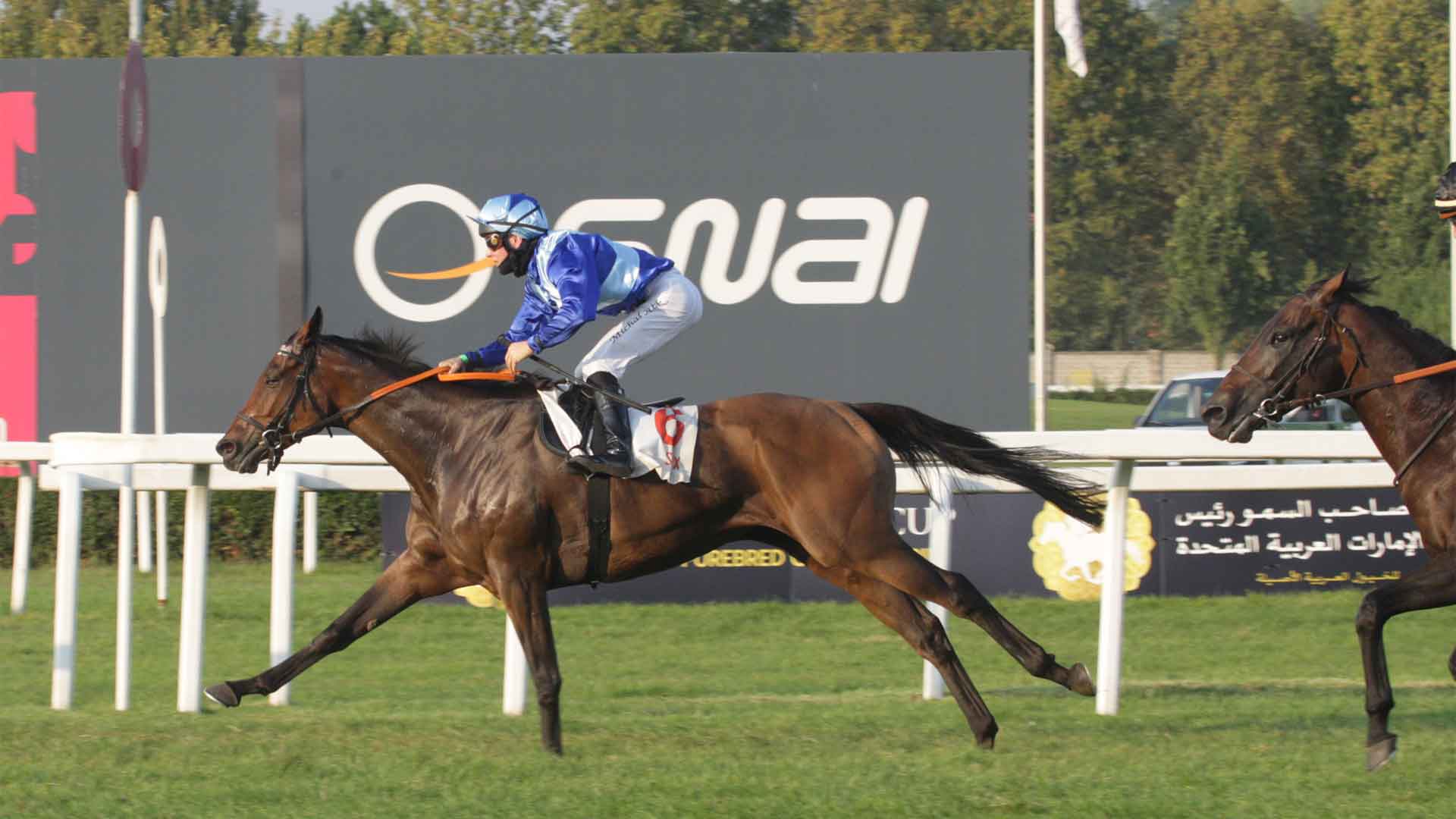 San Siro, il Premio Federico Tesio alla campionessa tedesca Stex