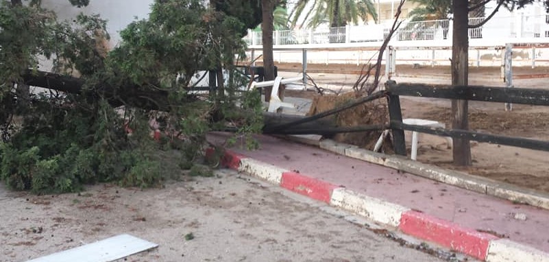 Dalla Tunisia con urgenza: serve aiuto per Mahdia!
