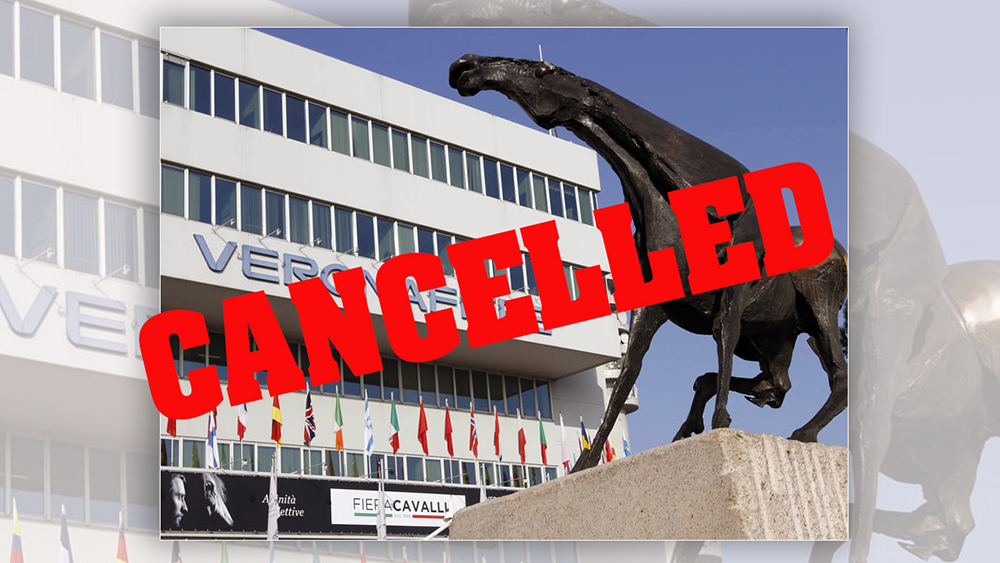Cancellato l'appuntamento con Fieracavalli