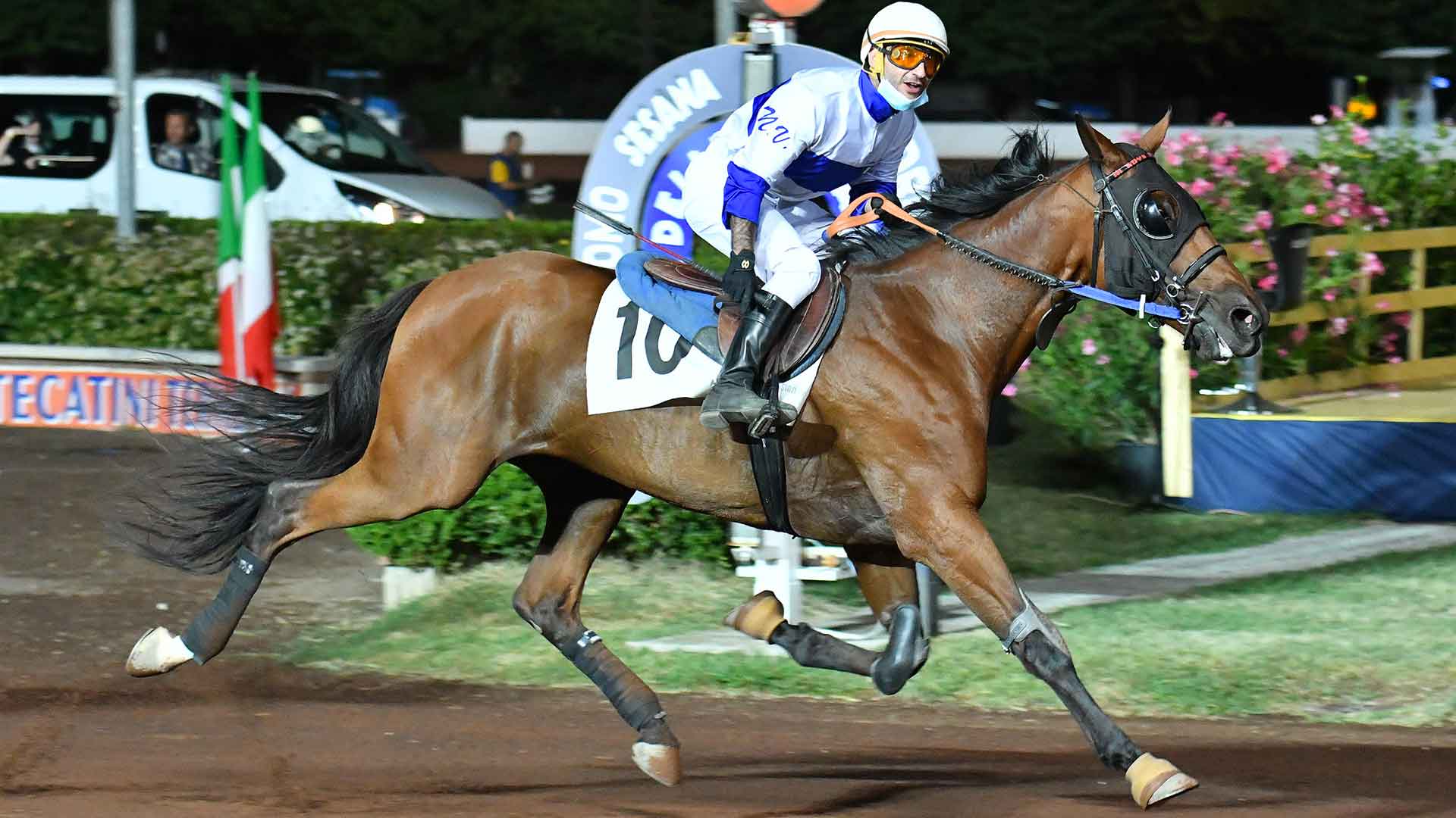 Domani il clou all’ippodromo Snai la Maura è al montato