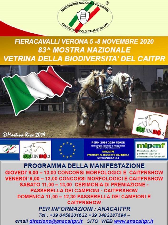 caitpr fieracavalli locandina