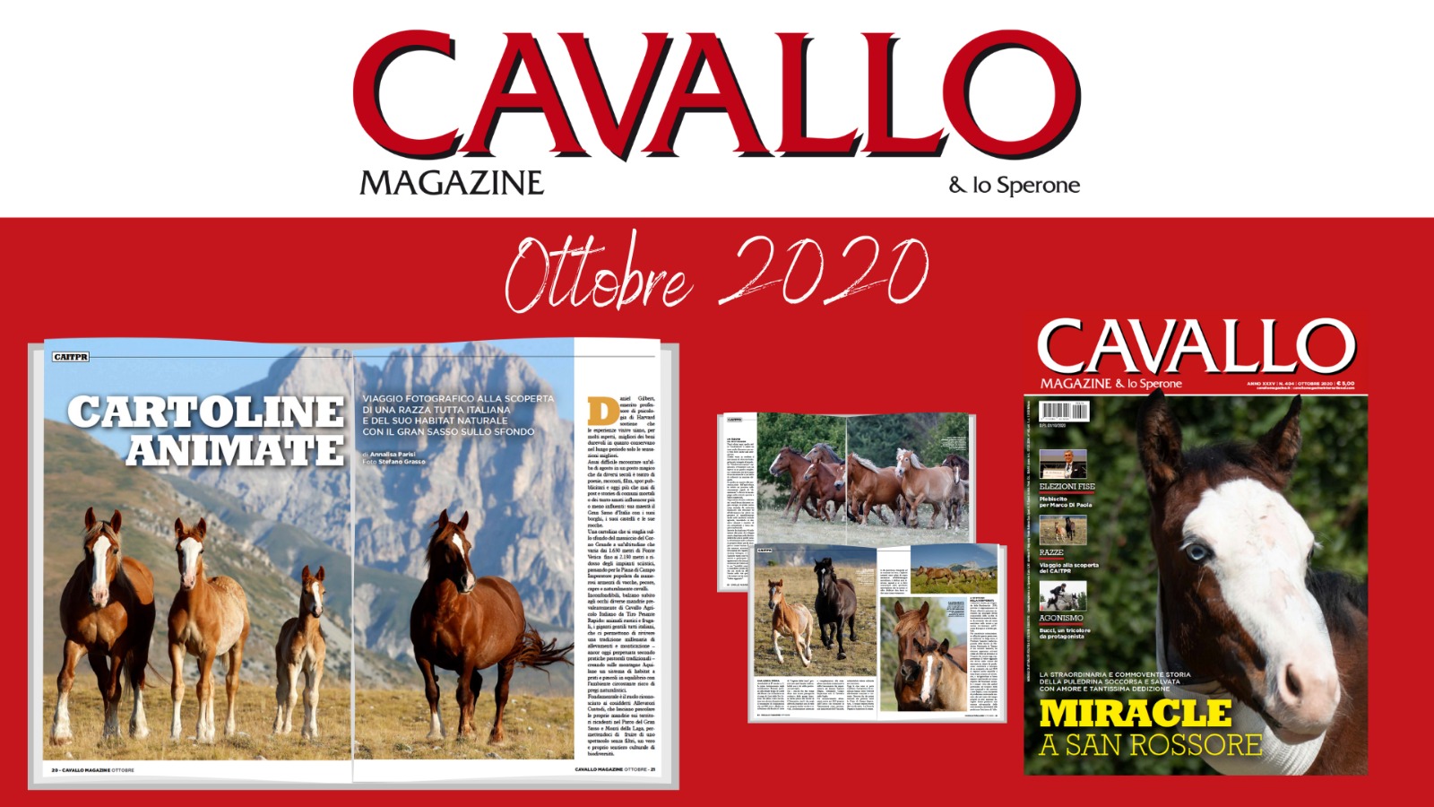 Cartoline animate dall’Abruzzo