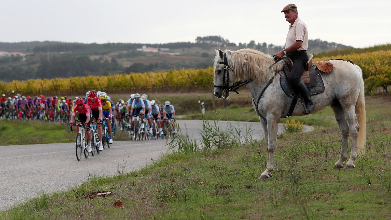 Biciclette ferme: e i cavalli stanno a guardare…
